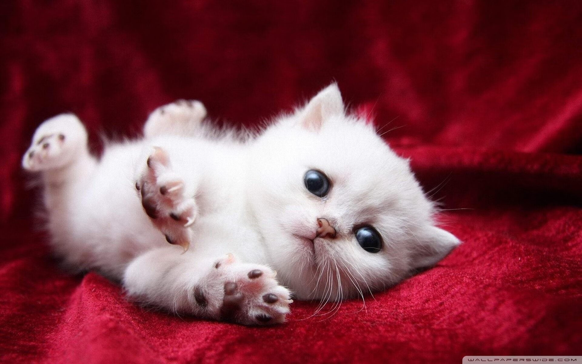 爱游戏电竞官网-人工智能分析技术在青训中的应用不断扩大，提升训练效率，浅析人工智能技术